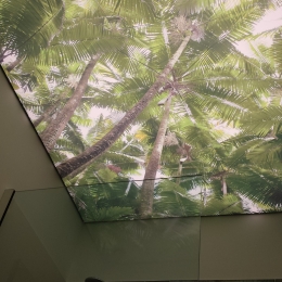 plafond de douche imprimé rétroéclairé
