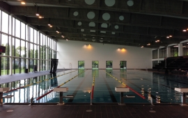 plafond et murs piscine Kibitzenau