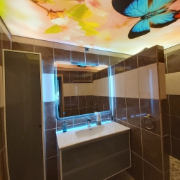 plafond-sdb-imprimé-papillons