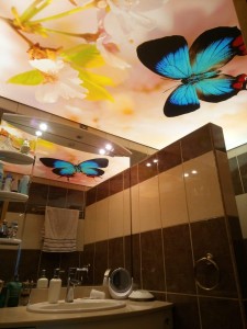 plafond tendu imprimé papillon